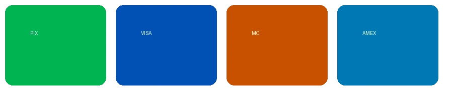 禁漫天堂支持的支付方式